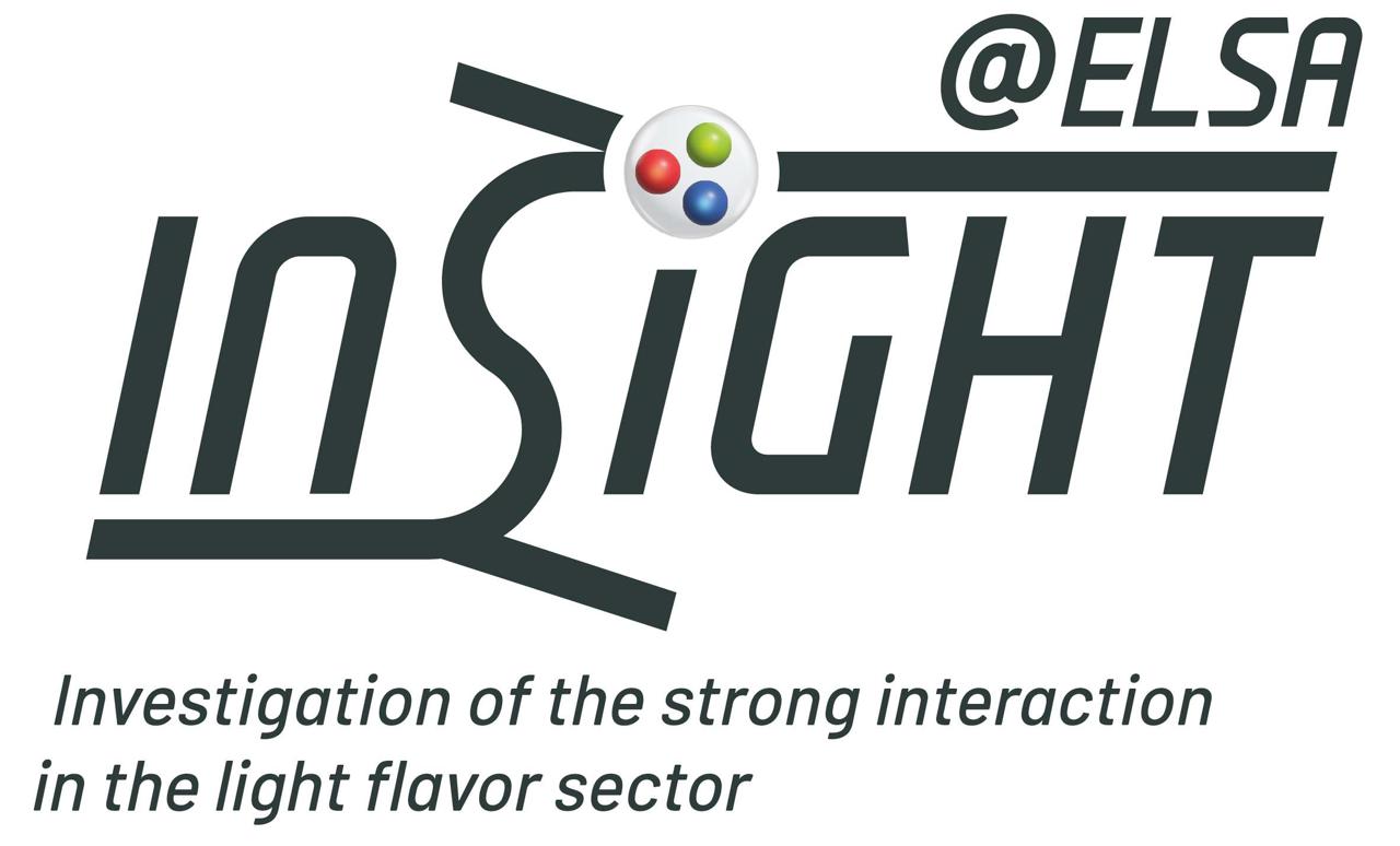 INSIGHT logo